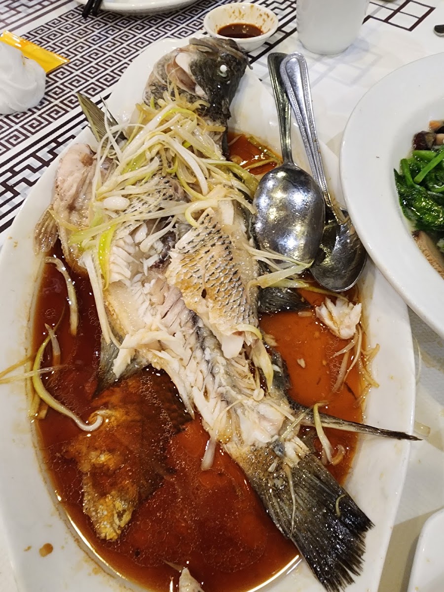 Jade Asian Bistro-10